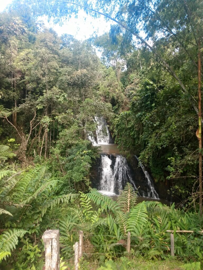 entrada de la cascada la toma y su hermosa naturaleza.