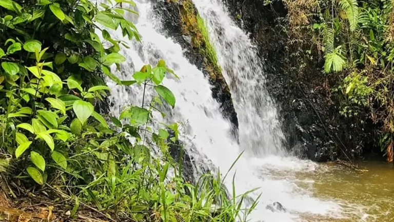 cascada la toma sevilla valle