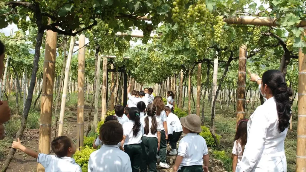 parque de la uva zarzal turismo