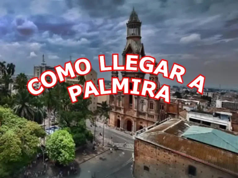 Como llegar a palmira